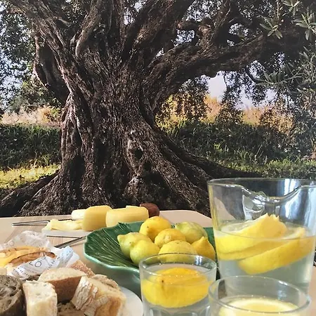 בית נופש Casa Dos Patios *