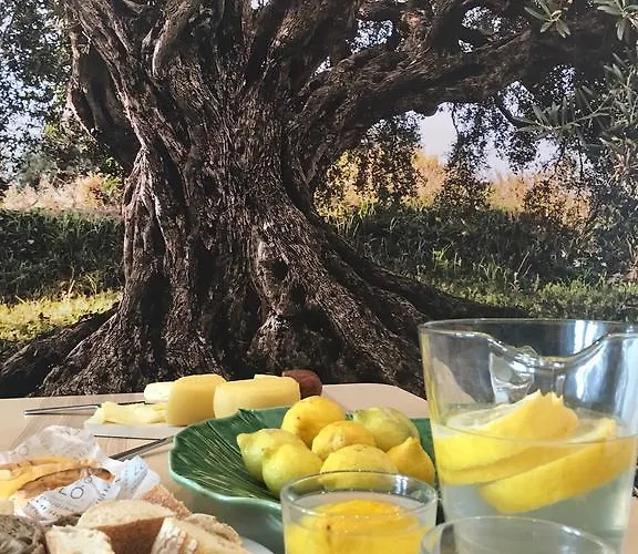 Semesterbostad Casa Dos Patios *